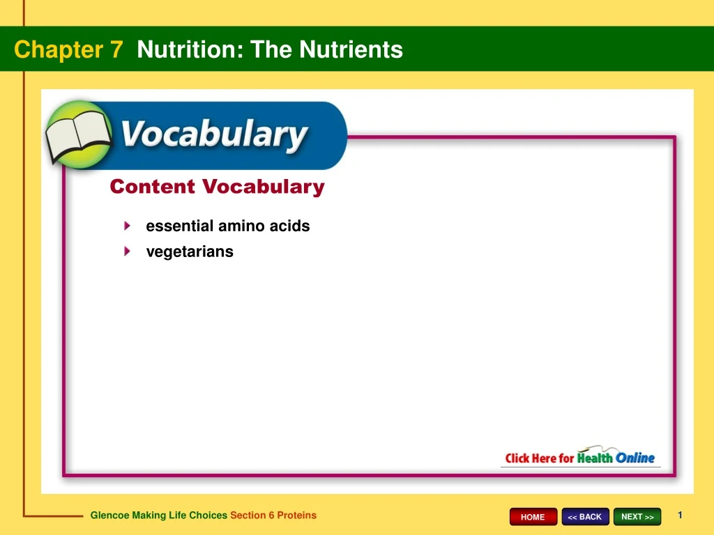 content vocabulary