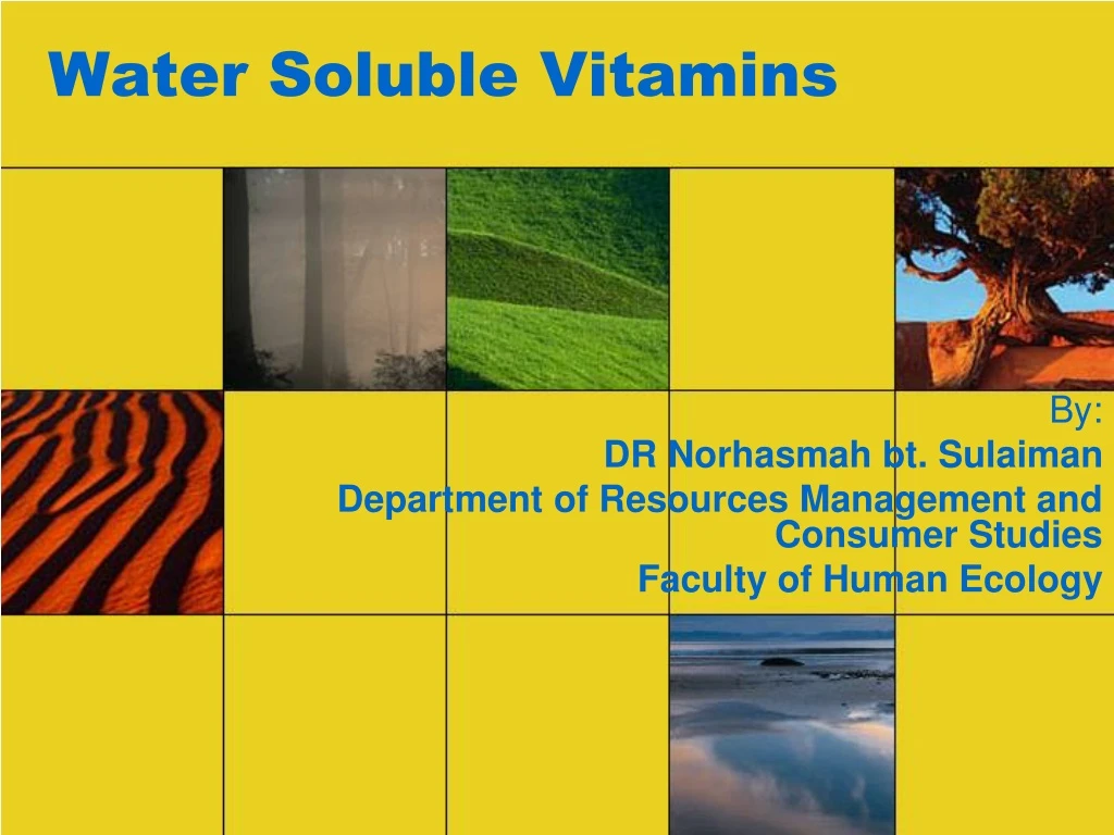 water soluble vitamins