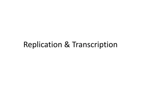Replication &amp; Transcription