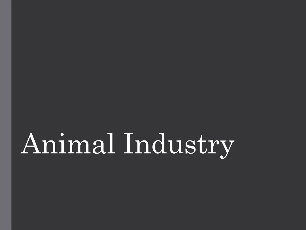 animal industry