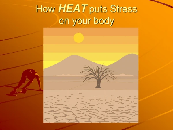 How  HEAT  puts Stress  on your body