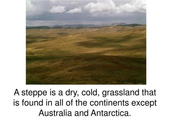 A steppe is a dry, cold, grassland that is found in all of the continents except