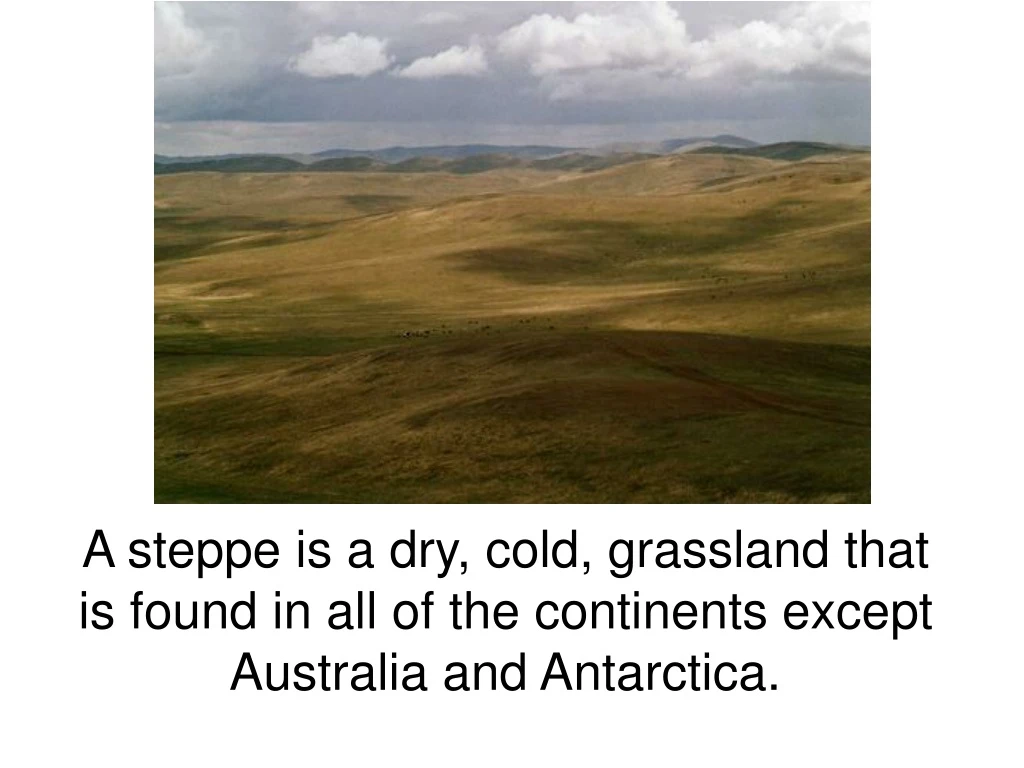 a steppe is a dry cold grassland that is found