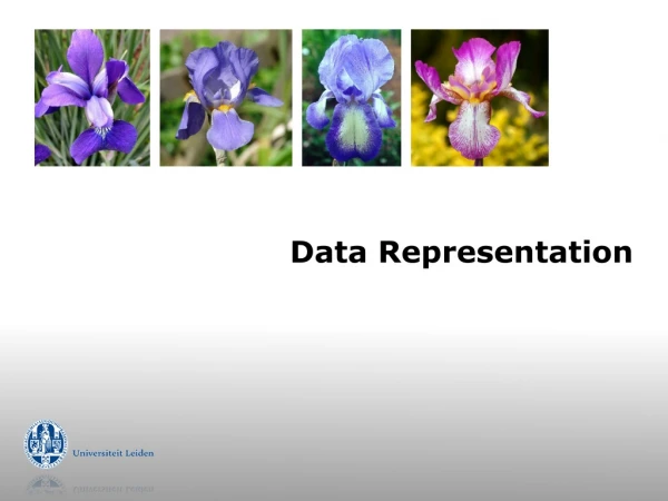 Data Representation