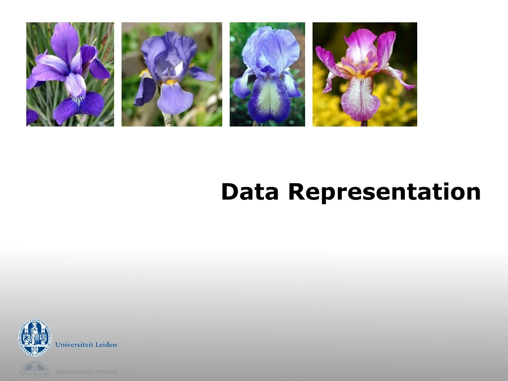 data representation