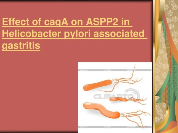 Effect of cagA on ASPP2 in Helicobacter pylori associated gastritis