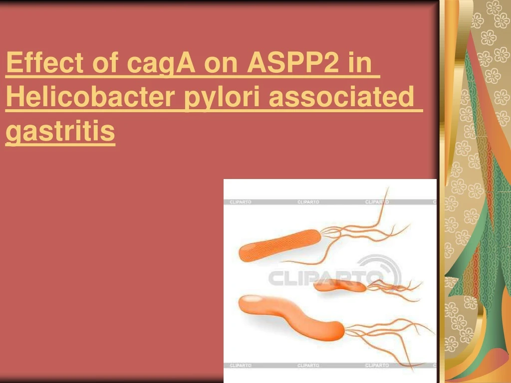 effect of caga on aspp2 in helicobacter pylori associated gastritis