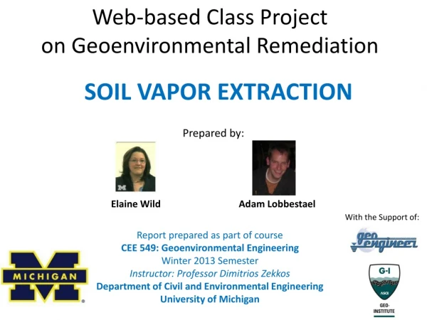 Web-based Class Project on Geoenvironmental Remediation