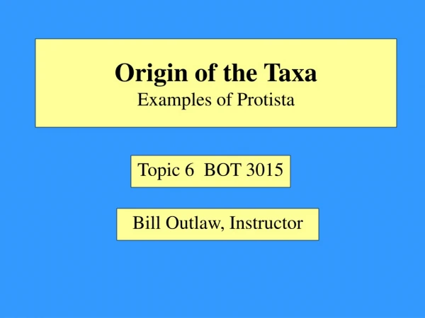 Origin of the Taxa Examples of Protista