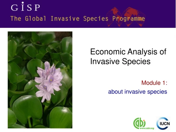 Module 1: about invasive species
