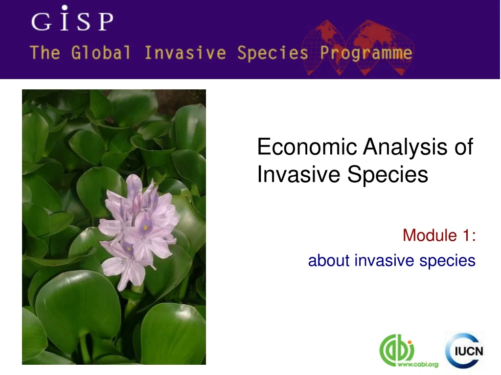 economic analysis of invasive species