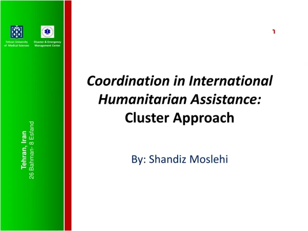 Coordination in International Humanitarian Assistance: Cluster Approach