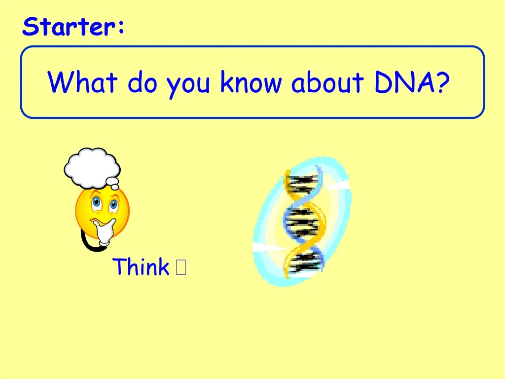 what do you know about dna