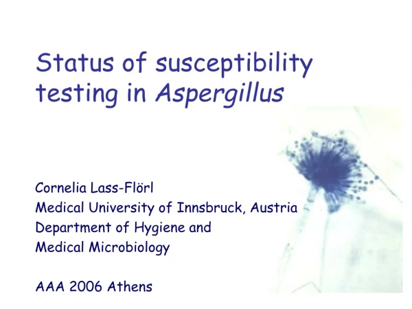 Status of susceptibility testing in  Aspergillus