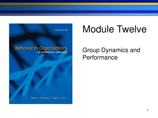 Module Twelve Group Dynamics and Performance