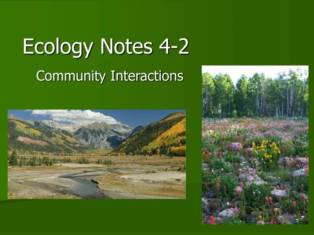 ecology notes 4 2