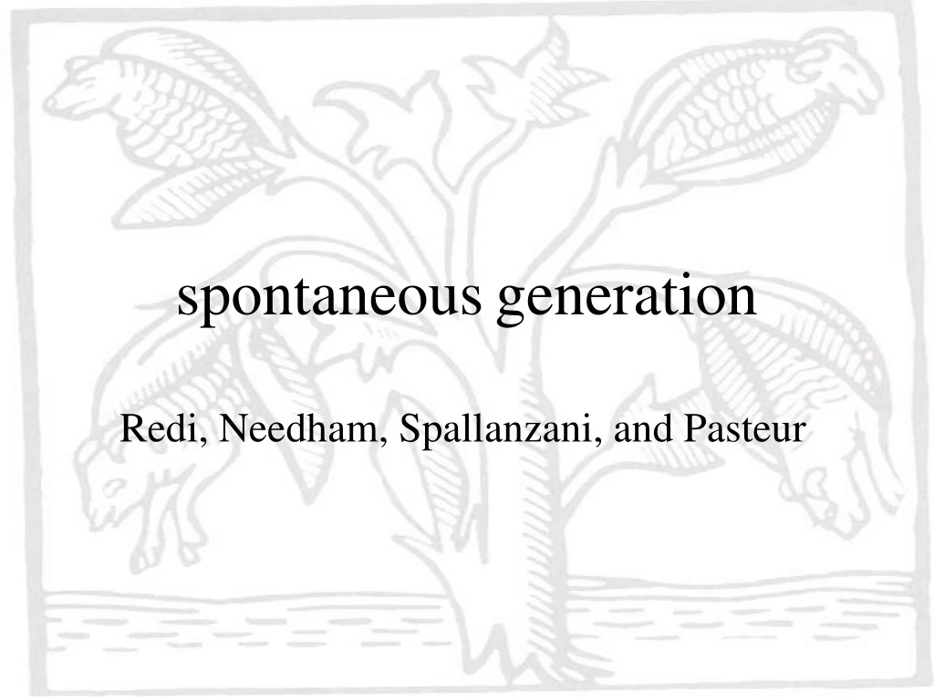 spontaneous generation