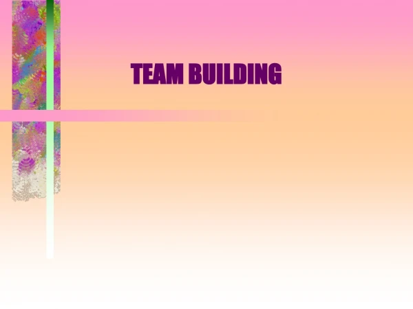 TEAM BUILDING