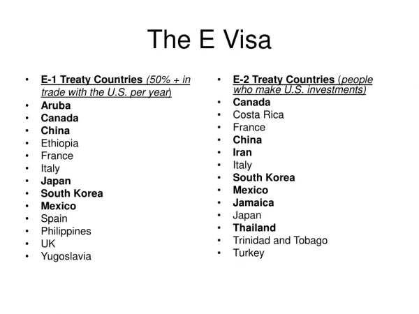 The E Visa