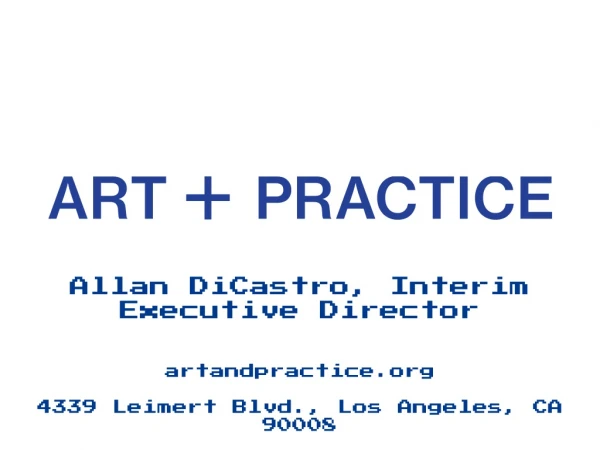 Allan DiCastro, Interim Executive Director artandpractice