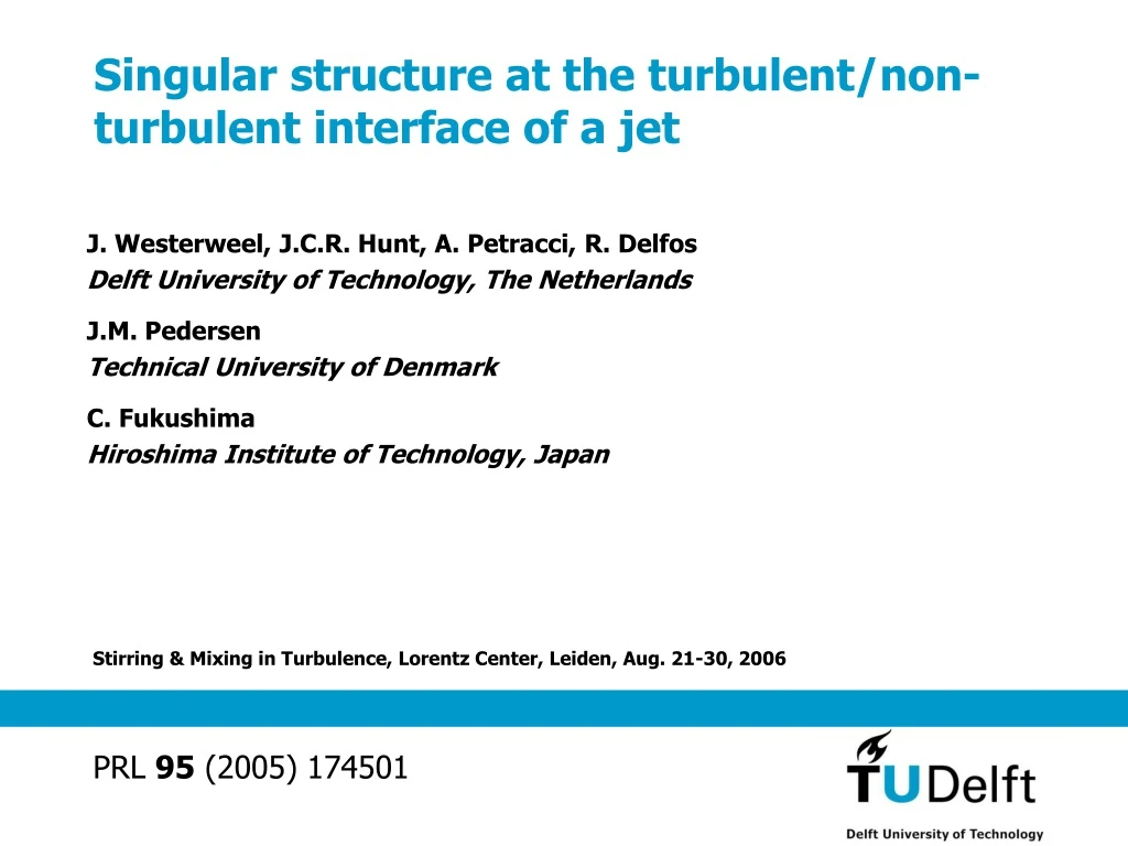 singular structure at the turbulent non turbulent interface of a jet