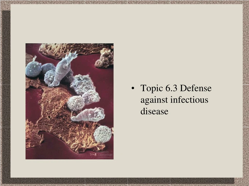 topic 6 3 defense against infectious disease