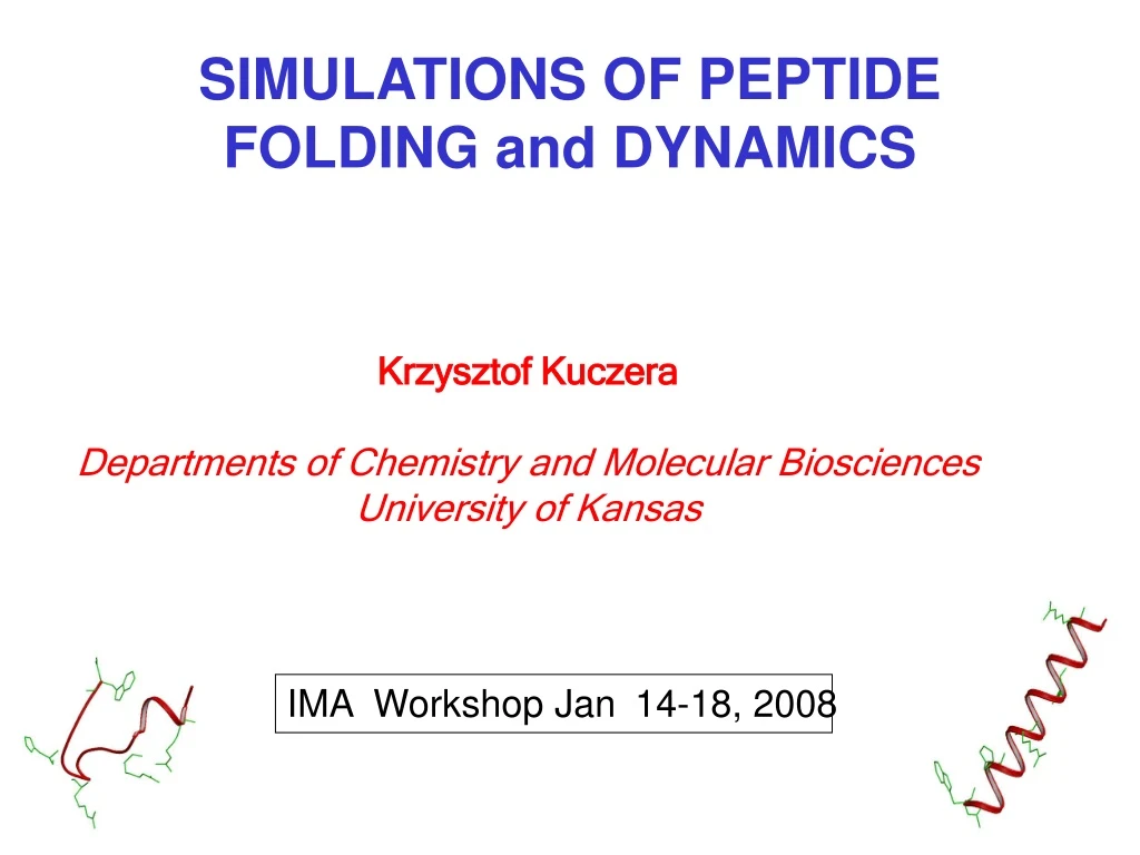 simulations of peptide folding and dynamics