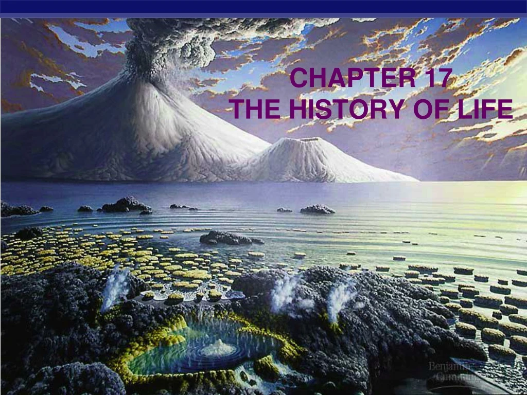 chapter 17 the history of life