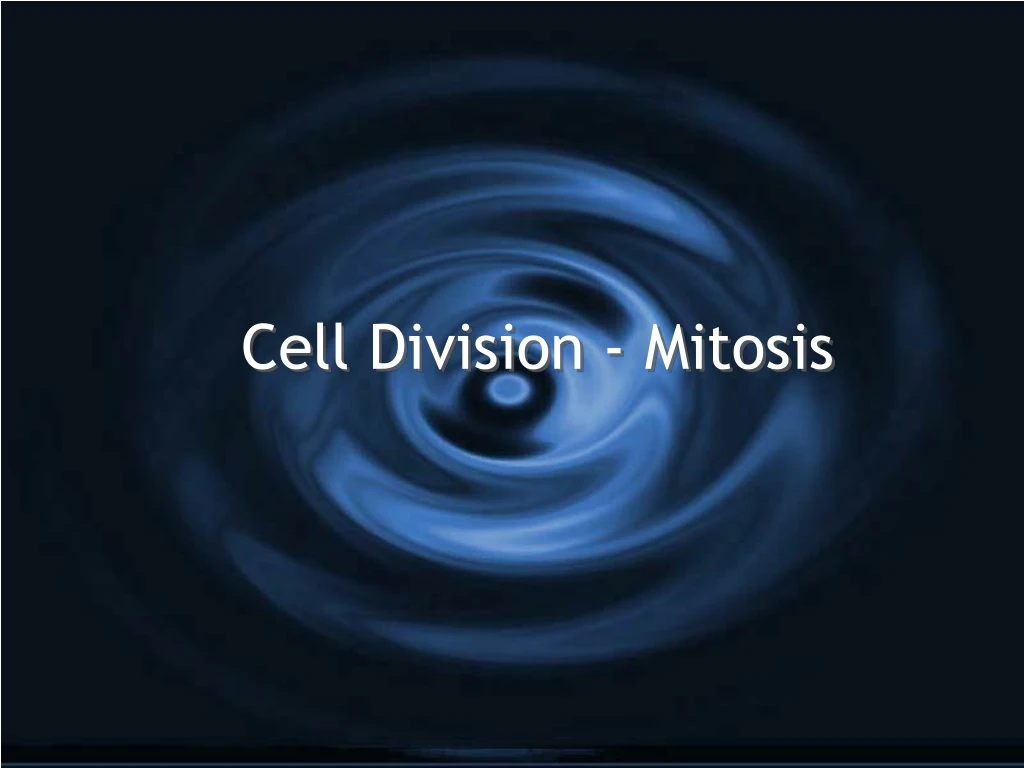 cell division mitosis