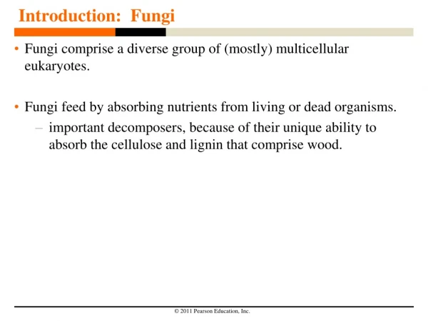 Introduction:  Fungi