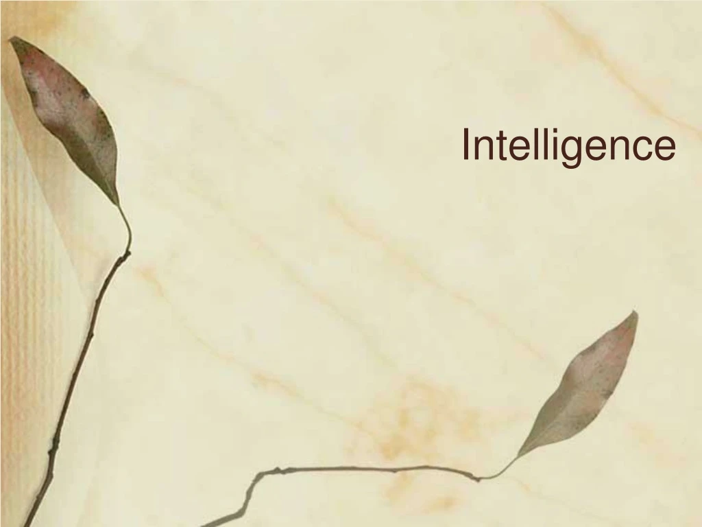 intelligence