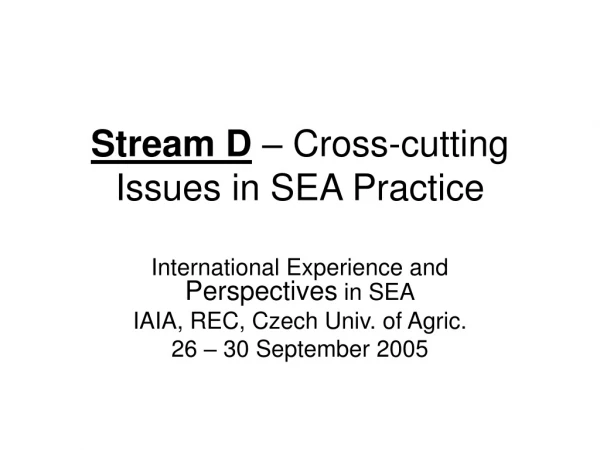 Stream D  – Cross-cutting Issues in SEA Practice