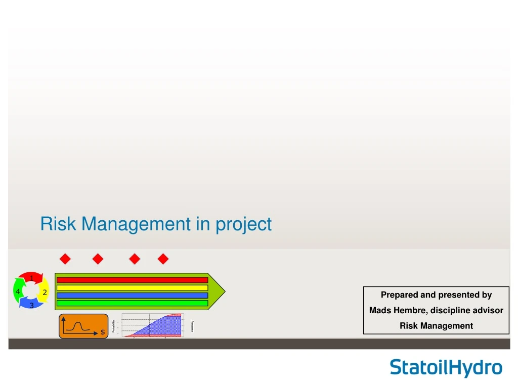 risk management in project