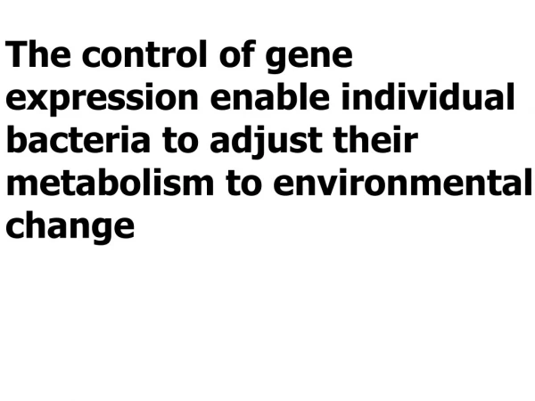 The control of gene  expression enable individual bacteria to adjust their