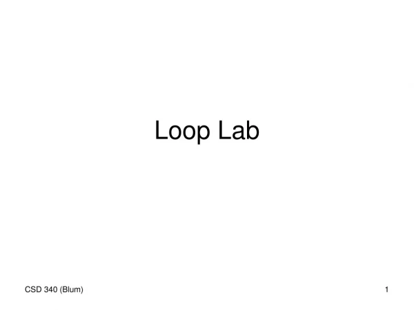 Loop Lab