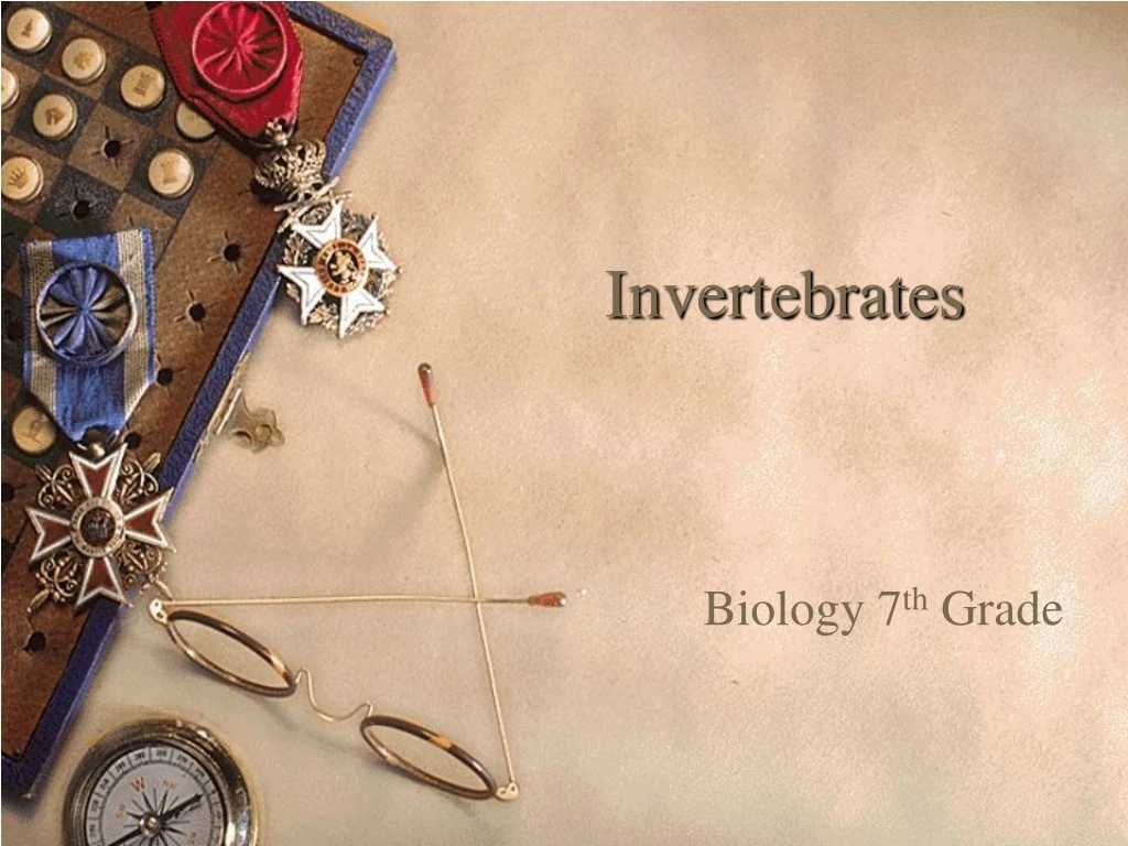 invertebrates