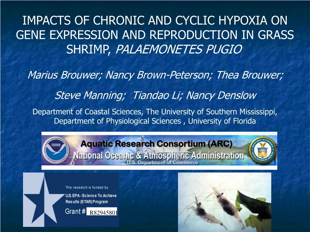 impacts of chronic and cyclic hypoxia on gene