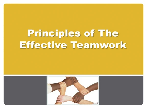 Principles of The Effective Teamwork