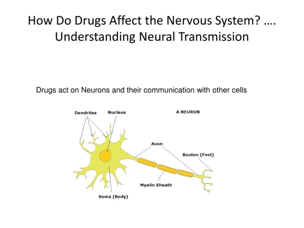 How Do Drugs Affect the Nervous System? …. Understanding Neural Transmission