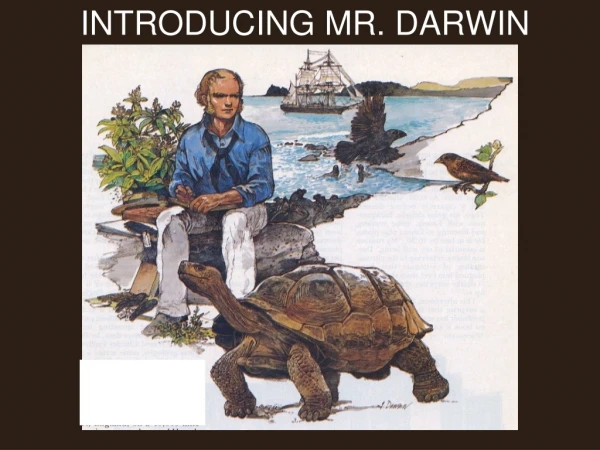 INTRODUCING MR. DARWIN