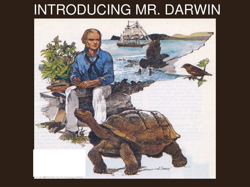 introducing mr darwin