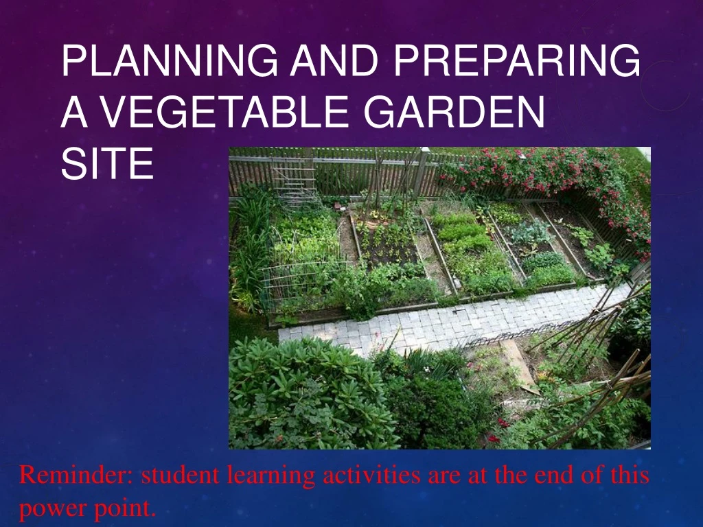 planning and preparing a vegetable garden site