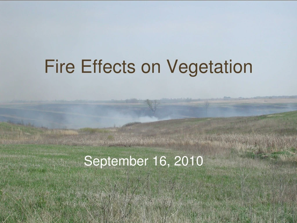 fire effects on vegetation