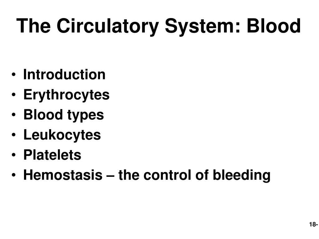 the circulatory system blood