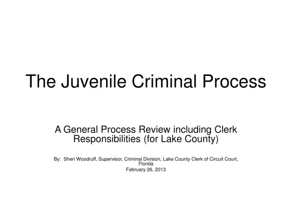 The Juvenile Criminal Process