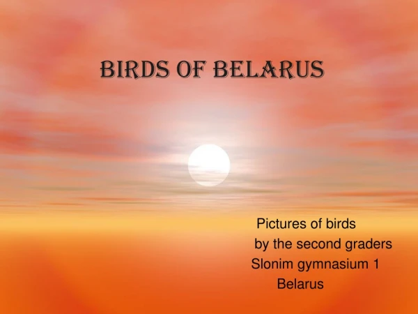 Birds of Belarus