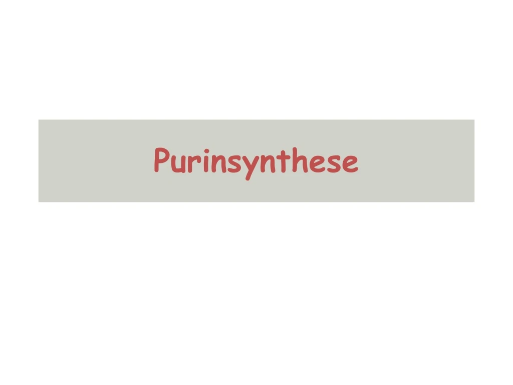 purinsynthese