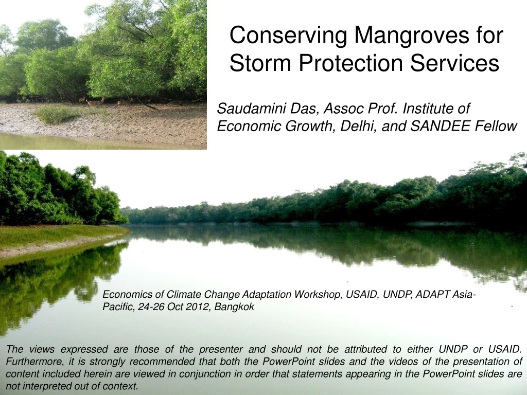 conserving mangroves for storm protection services
