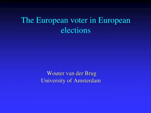 The European voter in European elections