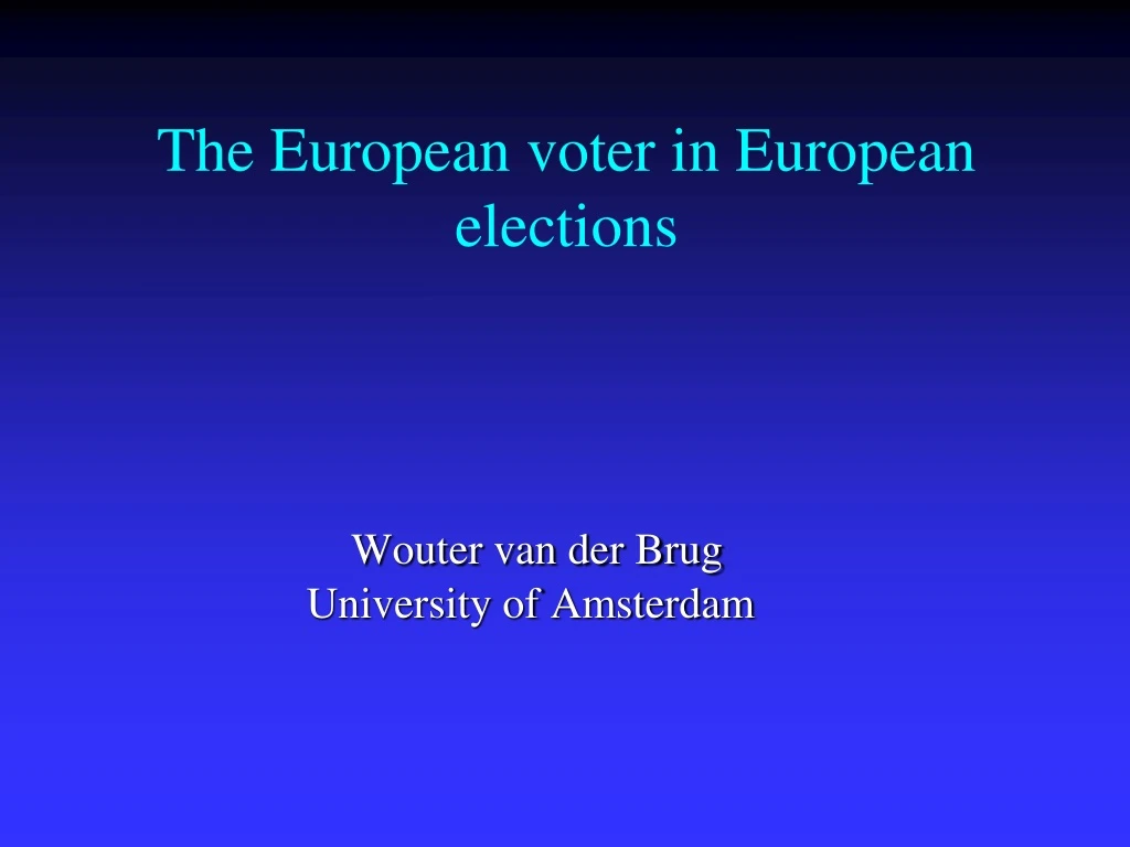 the european voter in european elections